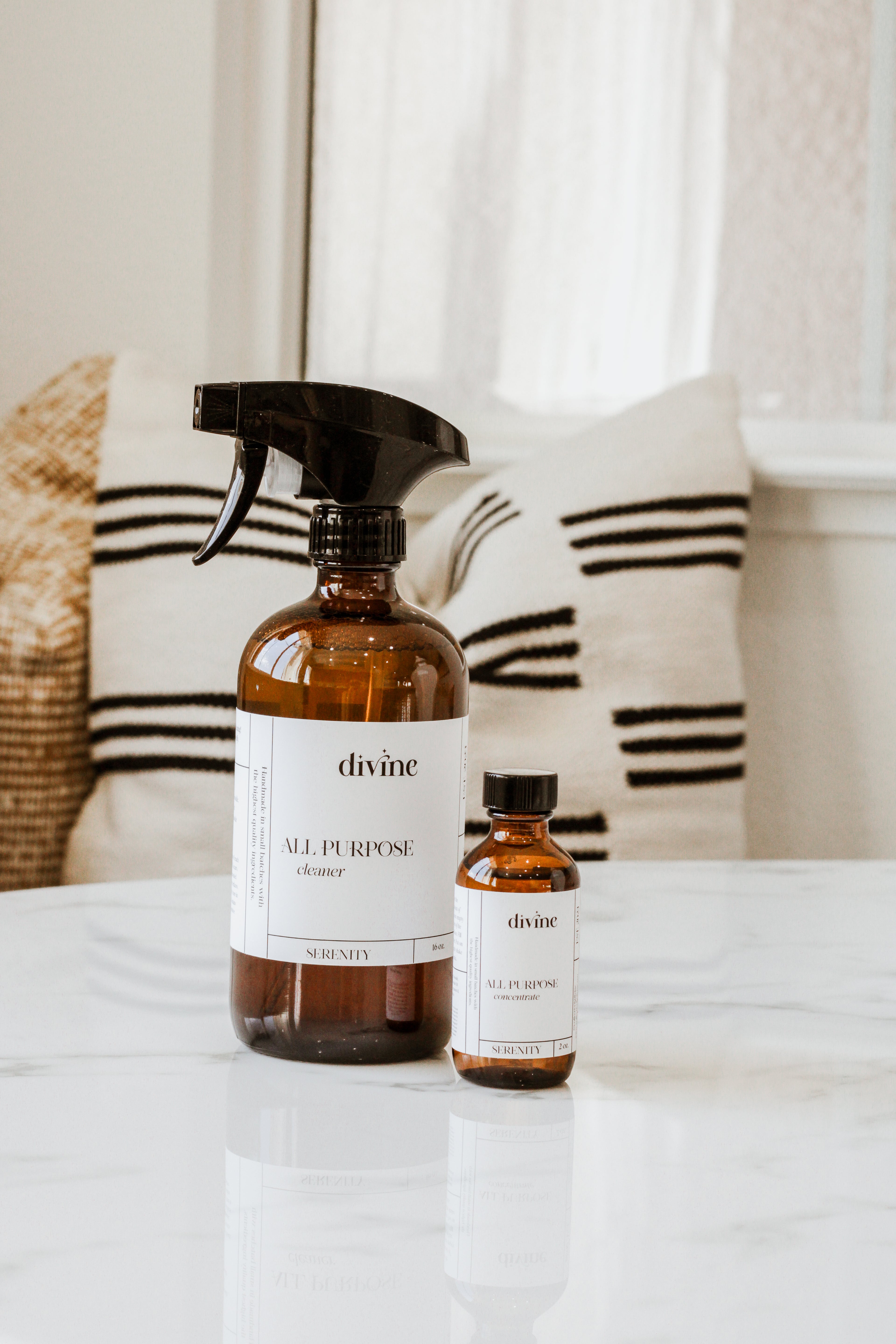 All Purpose Cleaner + Concentrate Duo