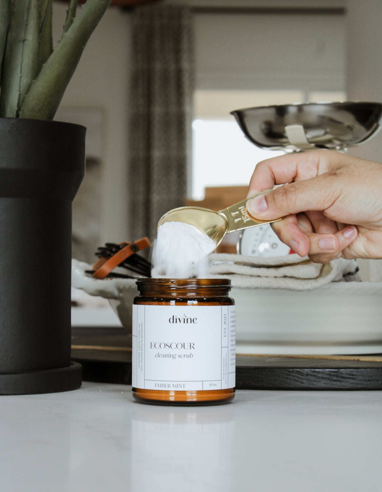 EcoScour Cleaning Scrub