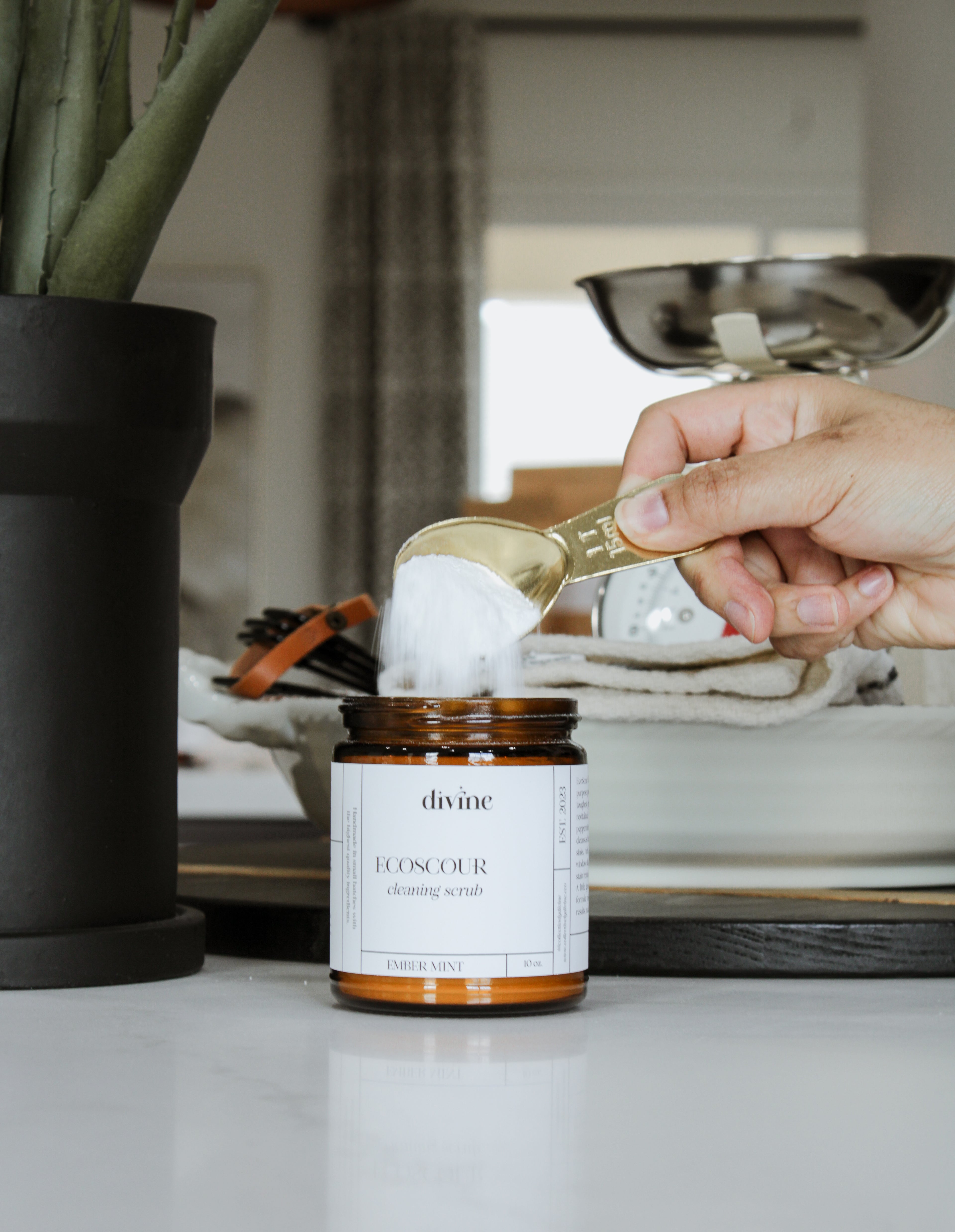 EcoScour Cleaning Scrub